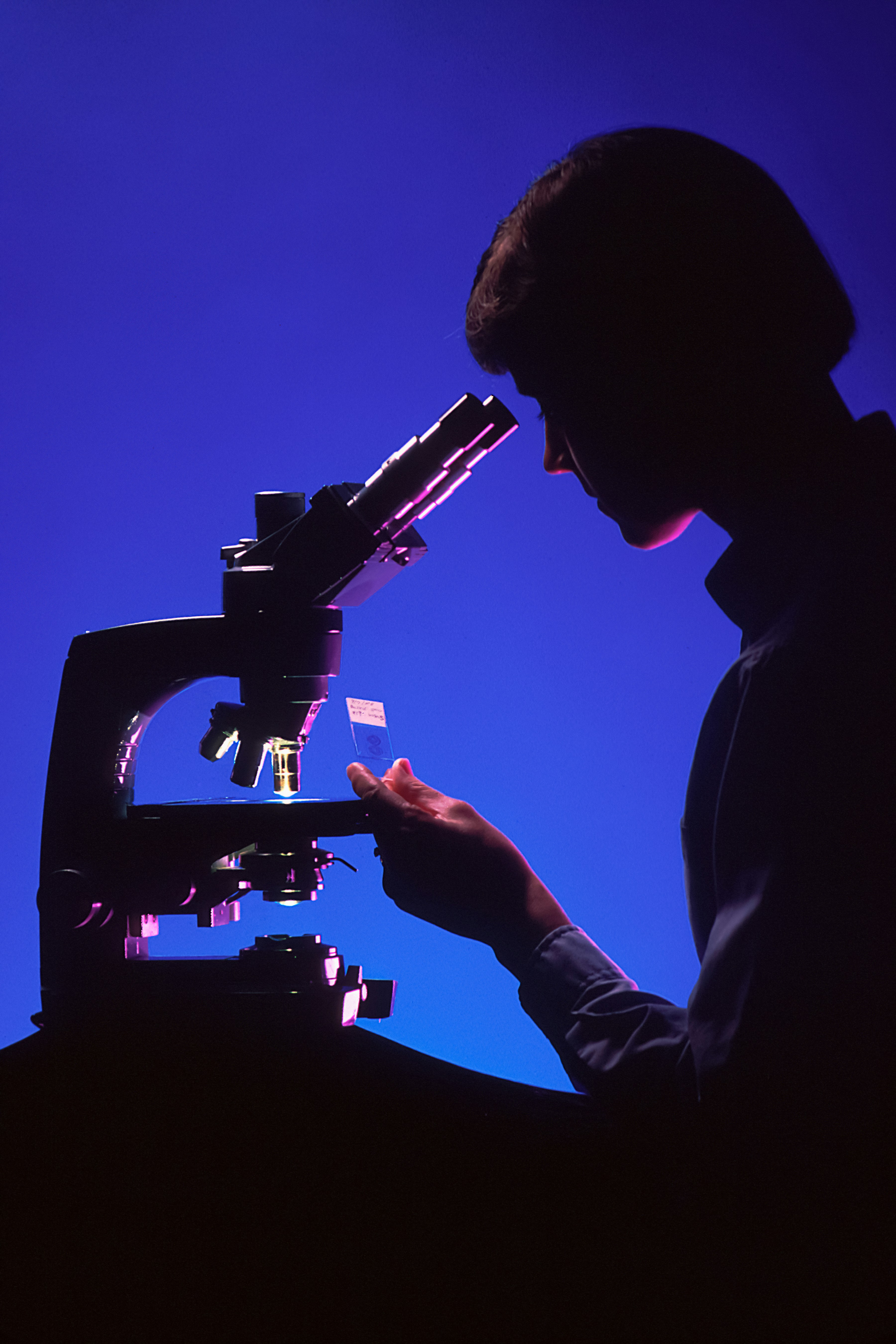Researcher examining a slide at a microscope